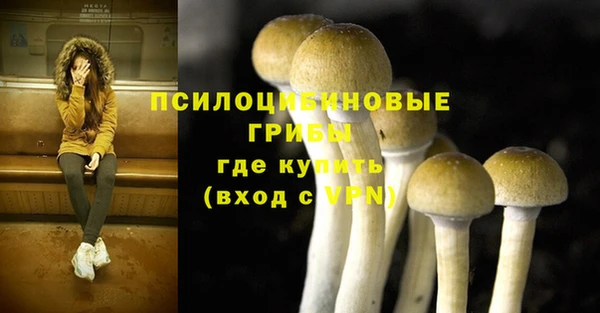 молекула духа Верхний Тагил