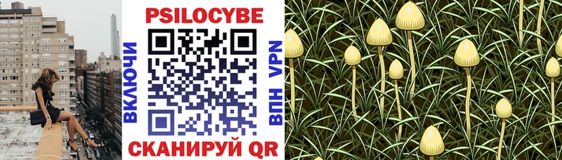Псилоцибиновые грибы прущие грибы  Дагестанские Огни 